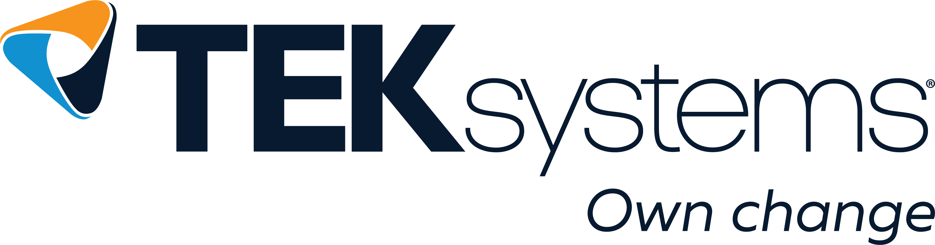 TEKsystems2025_3187x837.png